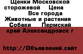 Щенки Московской сторожевой  › Цена ­ 25 000 - Все города Животные и растения » Собаки   . Пермский край,Александровск г.